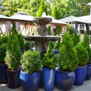 Smoky Rock BBQ Rhinebeck Patio Fountain Canopies